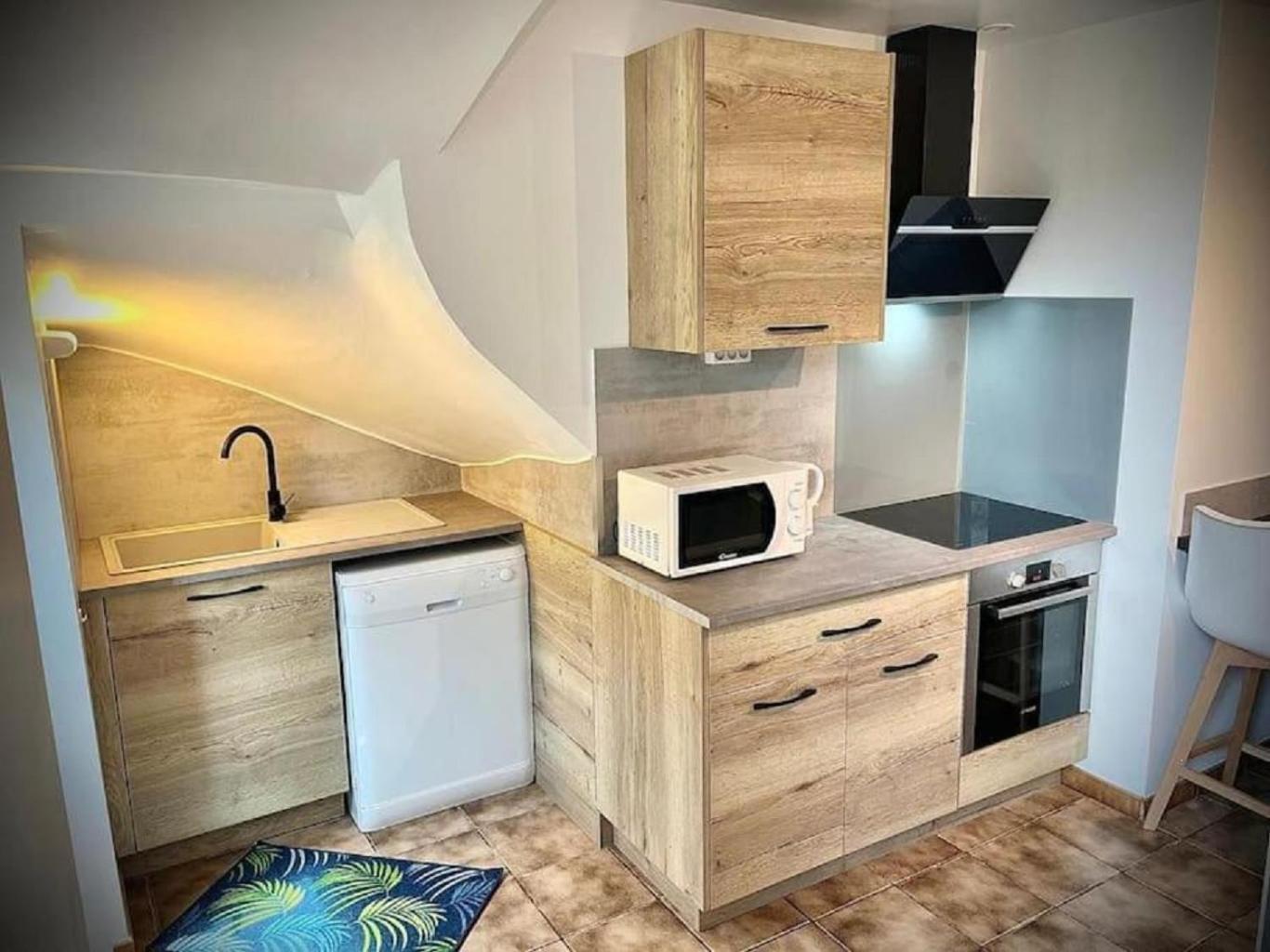 Tres Bel Appartement Avec Jardin Et Jacuzzi Scey-sur-Saone-et-Saint-Albin Exterior photo