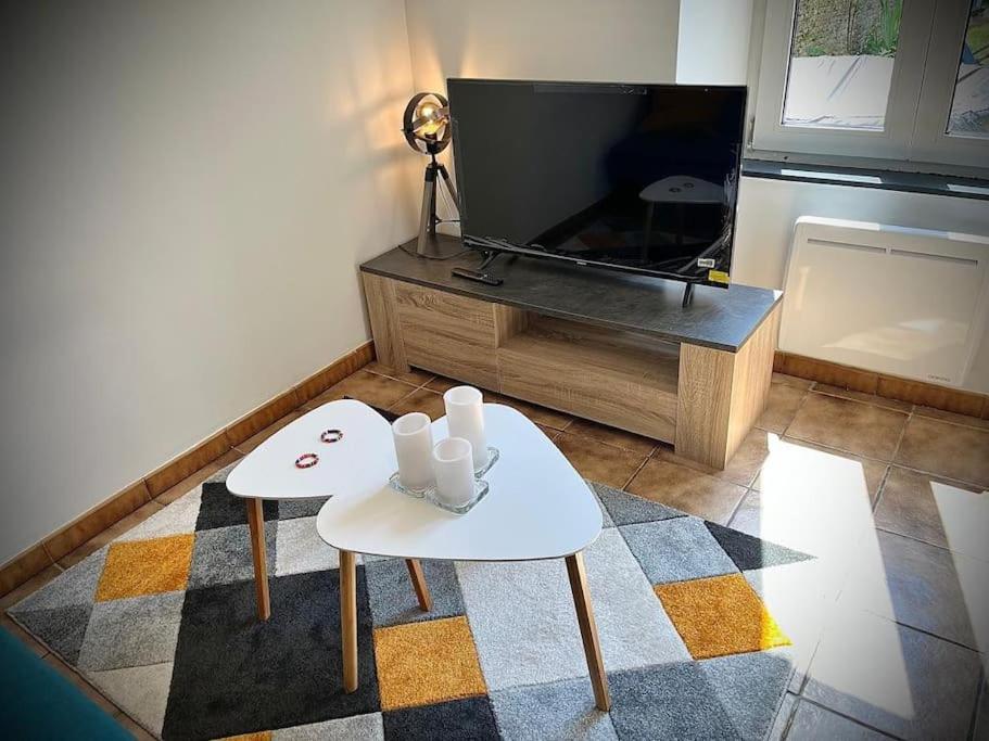 Tres Bel Appartement Avec Jardin Et Jacuzzi Scey-sur-Saone-et-Saint-Albin Exterior photo